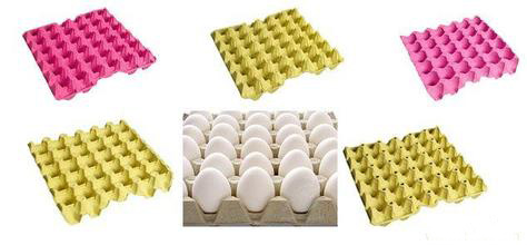 colourful egg trays